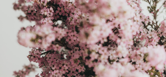 Colorful 2020 New Spring Collection "The Sound of Color"